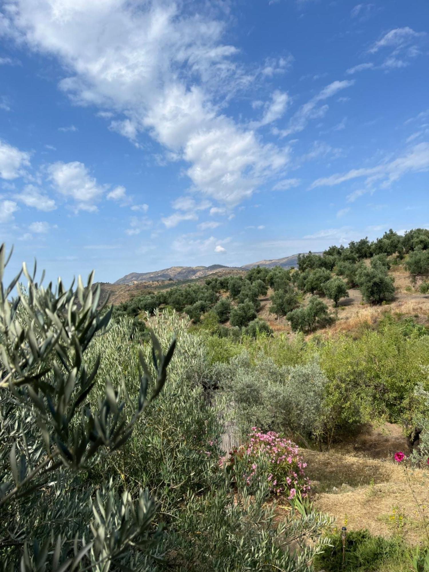 Cortijo Alhijra Big Yourte Lanjarón Exterior foto