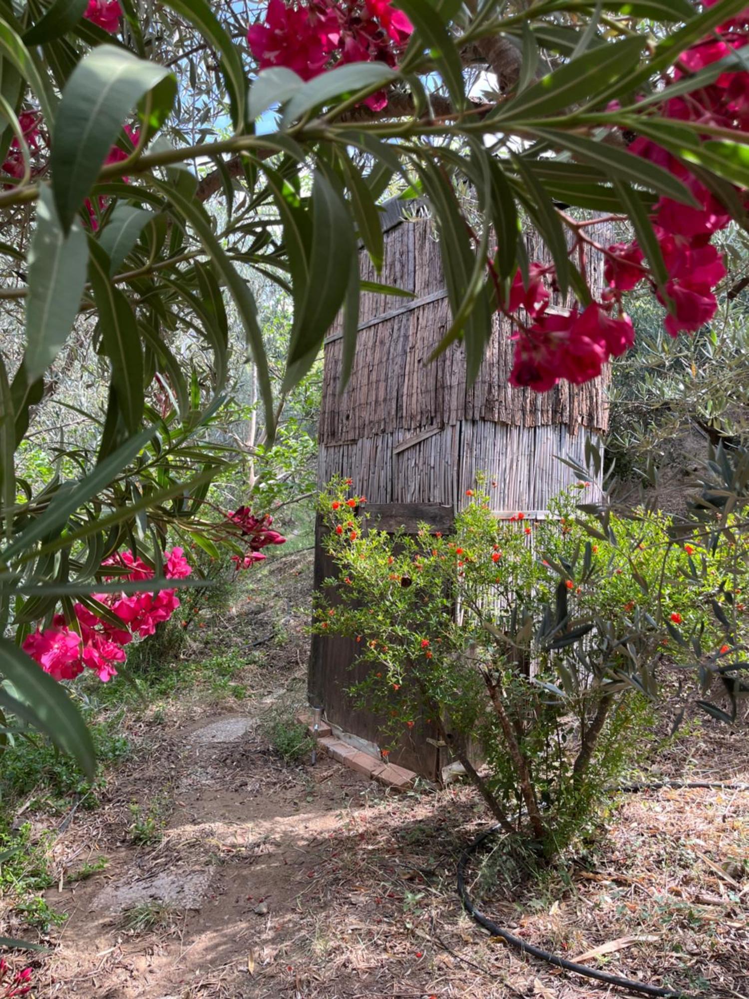 Cortijo Alhijra Big Yourte Lanjarón Exterior foto
